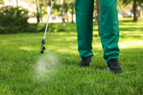Best Best Pest Control Companies  in Wyoming, OH