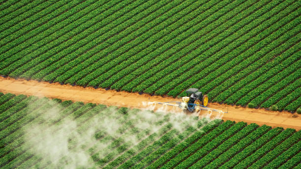 Best Mosquito Control Services  in Wyoming, OH