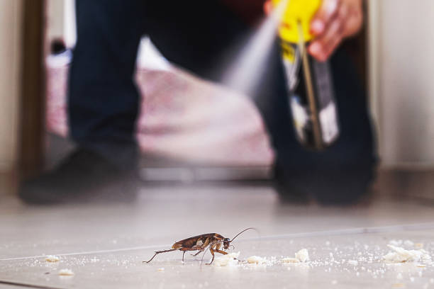 Best Mosquito Control Services  in Wyoming, OH