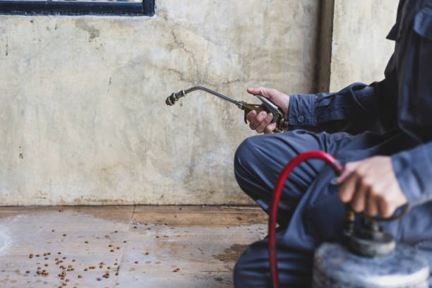 Trusted Wyoming, OH Pest Control Experts