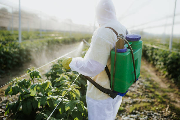 Best Commercial Pest Control Services  in Wyoming, OH